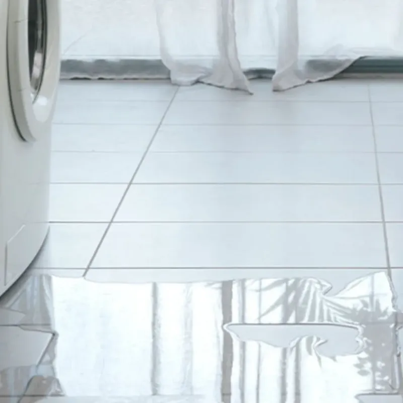 Appliance Leak Cleanup in Bogart, GA
