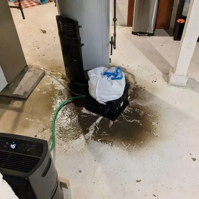 Sewage Backup Cleanup Service in Bogart, GA